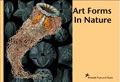 Art Forms in Nature, Postcard